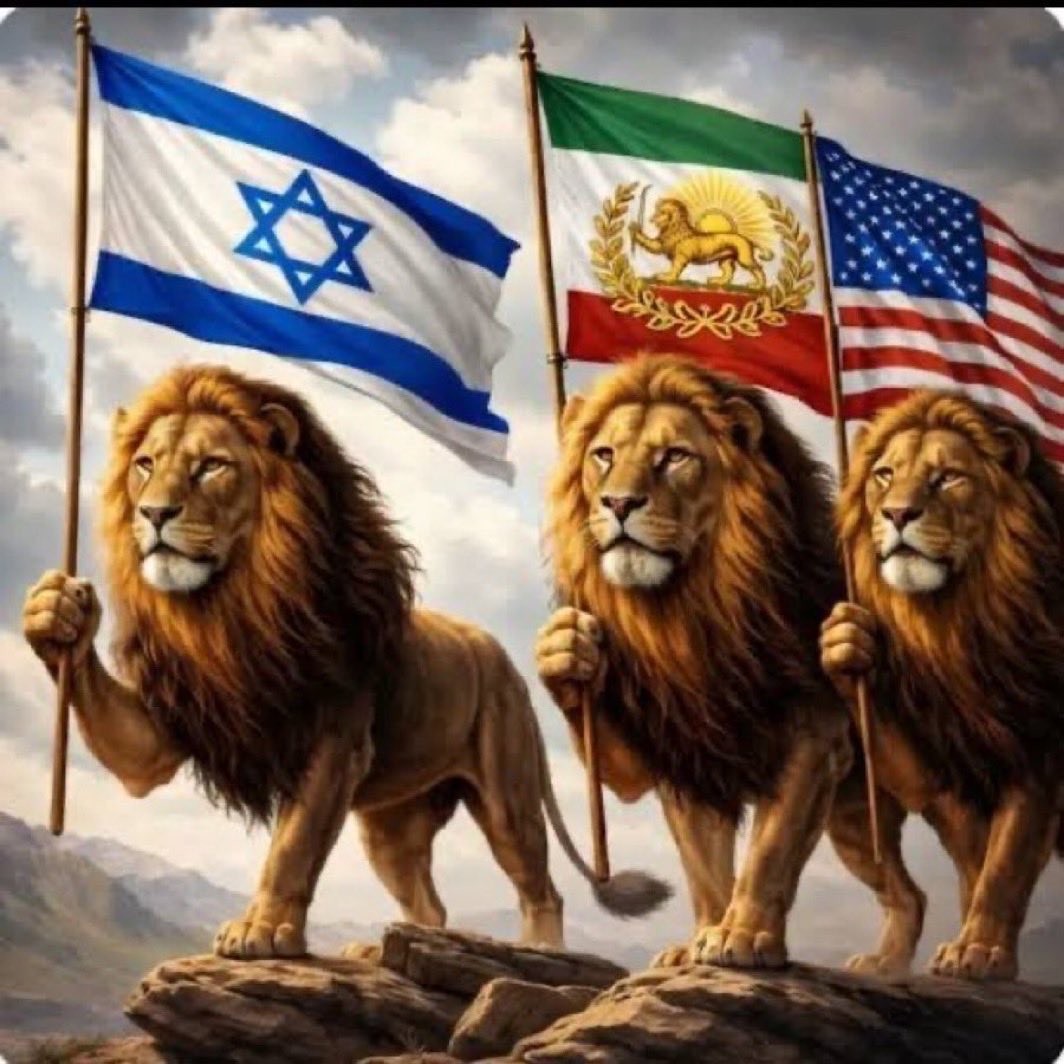 silbellato's tweet image. 👇🗽🙌