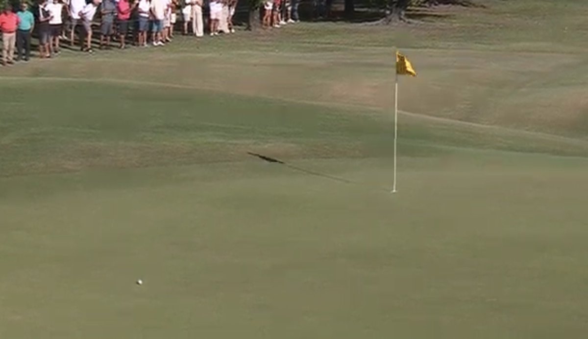 Monday Q Info tweet media