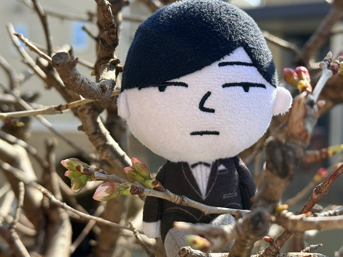 𝒎 𝒆 𝒍 𝒐 𝒅 𝒚 ☆༻¨* (@melody25912864) / Posts / X