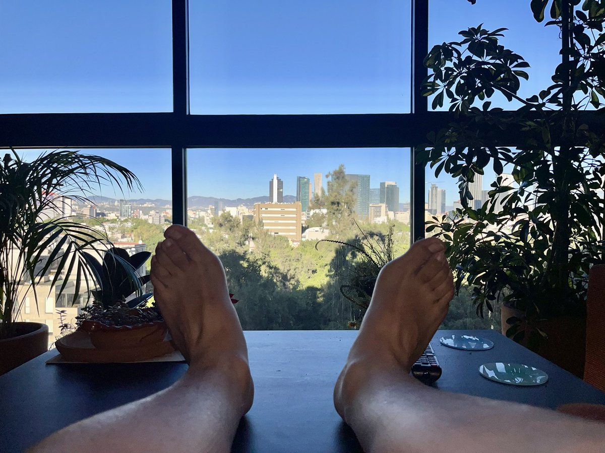 immmma nol tweet media