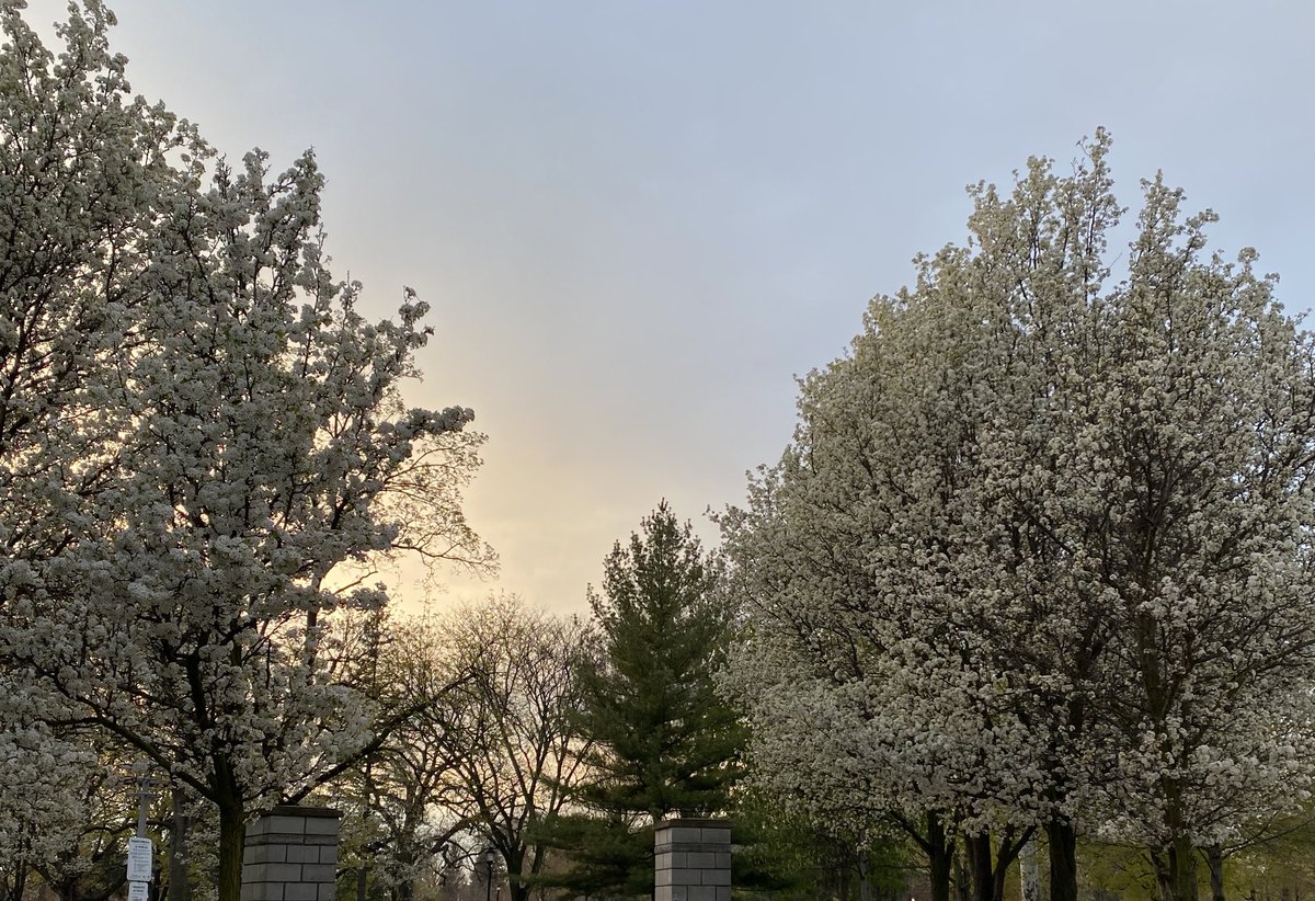 matchabae99's tweet photo. spring is around the corner and everything will be okay https://t.co/jqbHhlS9yz