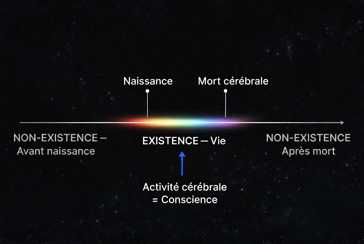 Neural Space tweet media