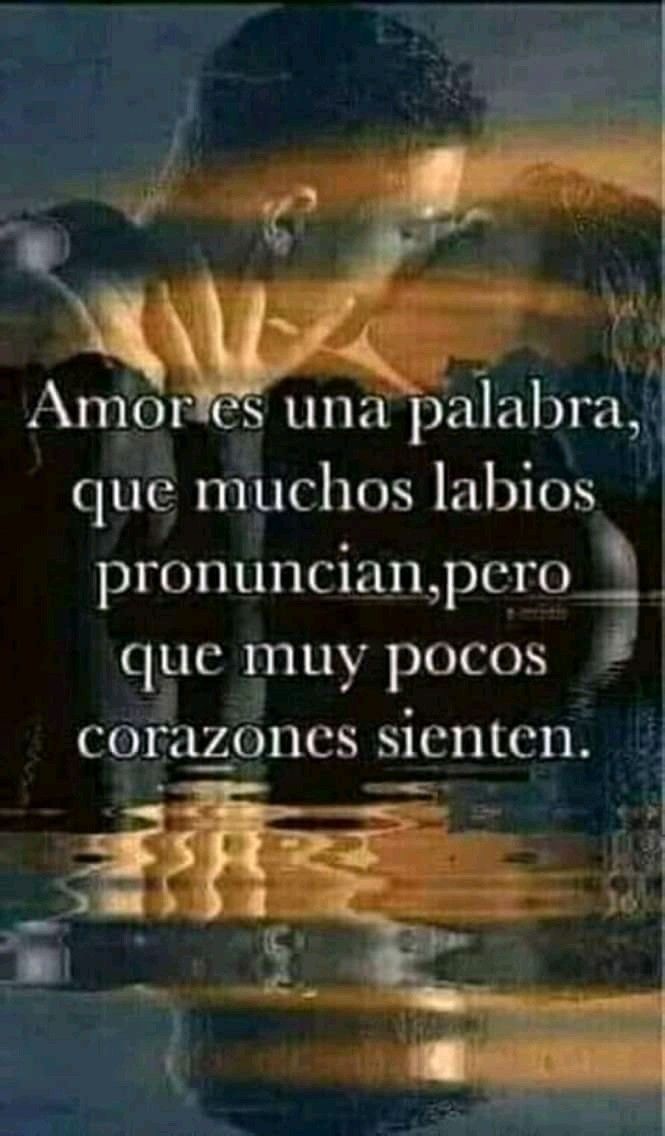 Alicia De Toma,te sigue tweet media