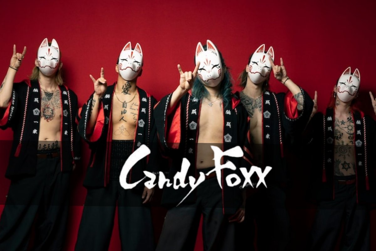 ○ Studio Candy Foxx oXX DARUMA ver.2 Parker ホワイト Lサイズ 外箱 