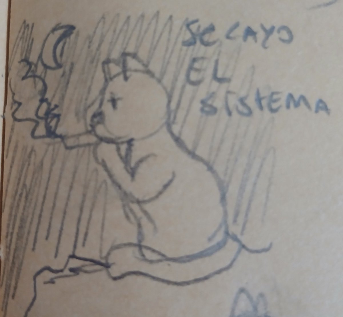 *ƨAVꓭꓭɘƧ 🐈 tweet media