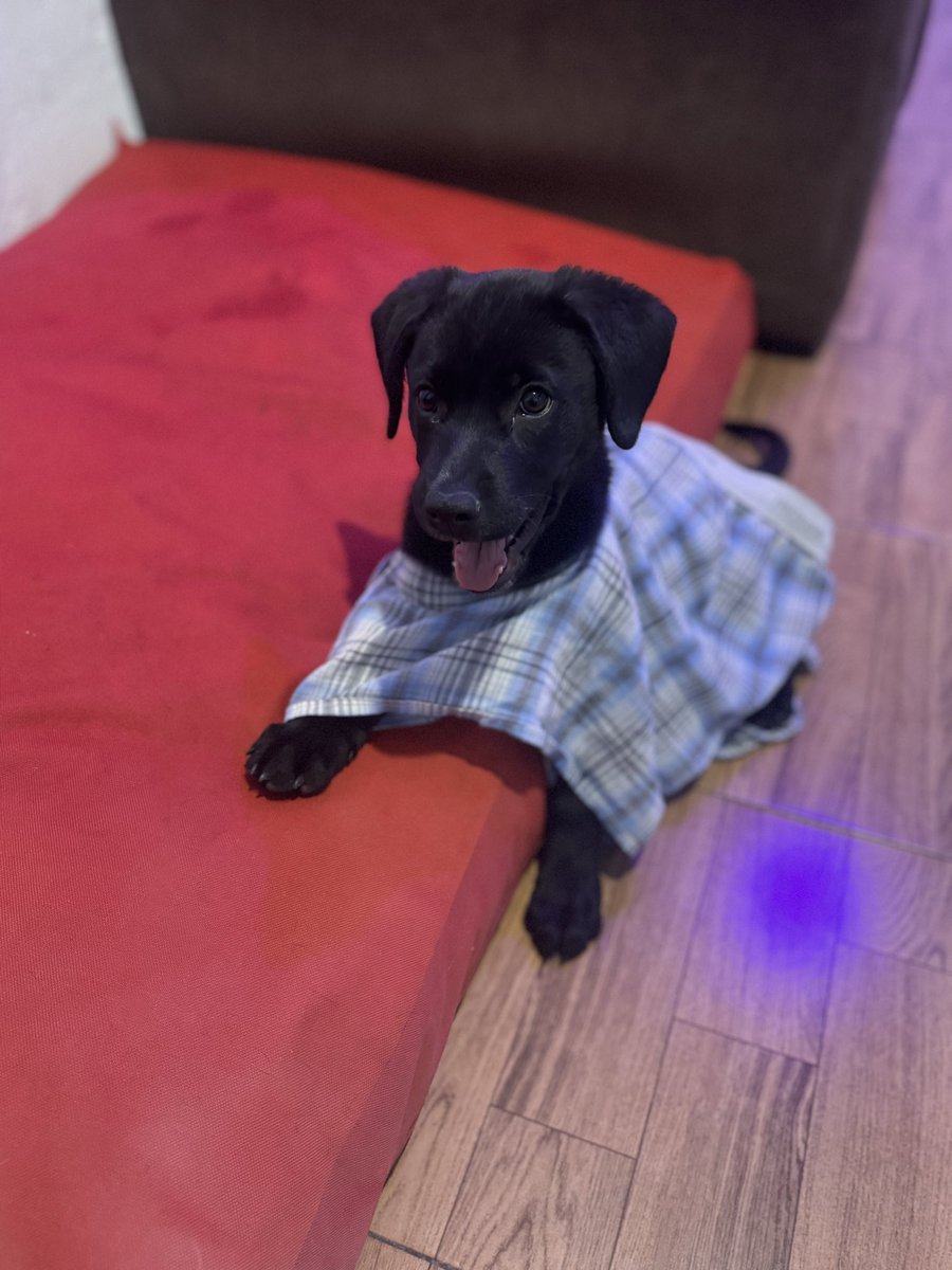 Medina🥶☃️❄️🪅 tweet media