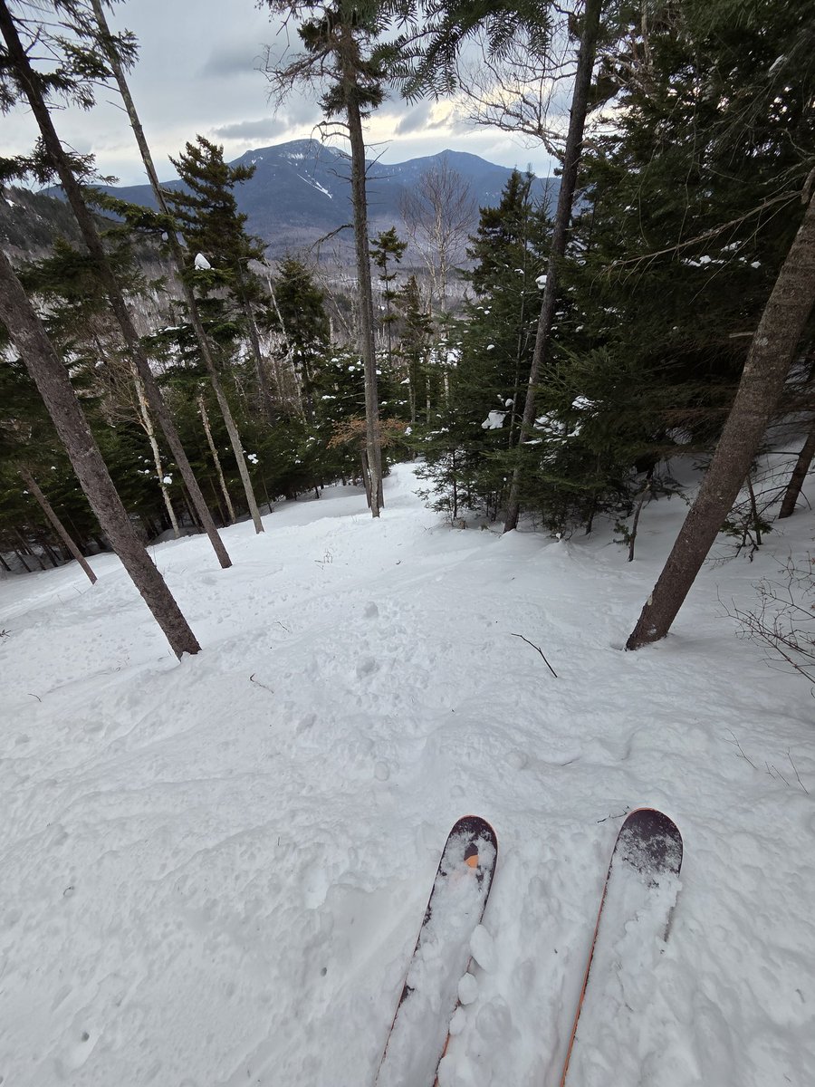 Kevin Gasior tweet media