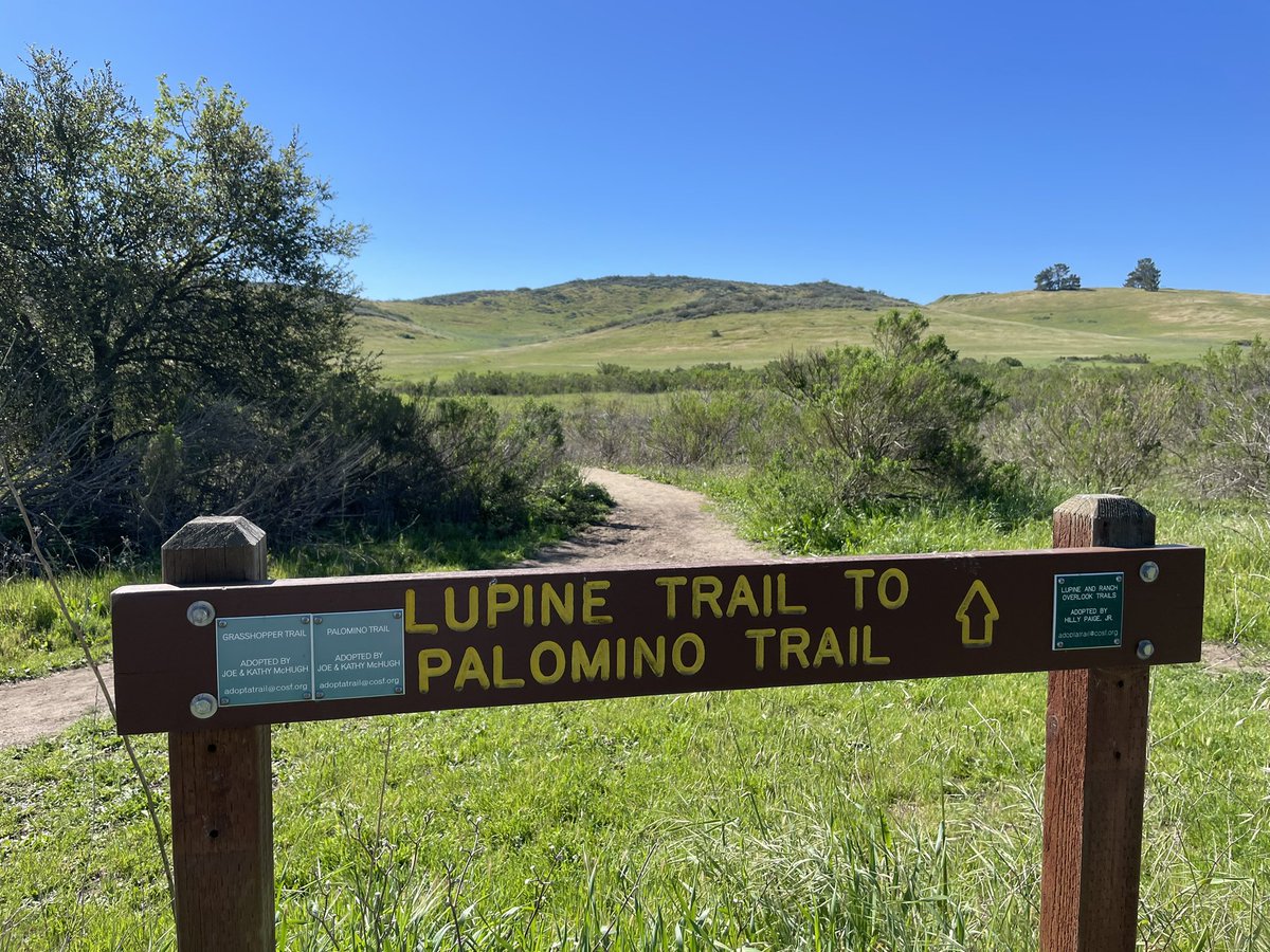 hillypaige2's tweet photo. #coschallenge
Trail 1 of 10 in the @COSChallenge  -
Palomino! Wonderful to see the poppies and lupine blooming.

So great the Challenge is back with a great selection of trails!👏👏
🙏🏻 @COSFoundation 

@VisitConejo @TOAcornNews https://t.co/rdJsbI7DpP