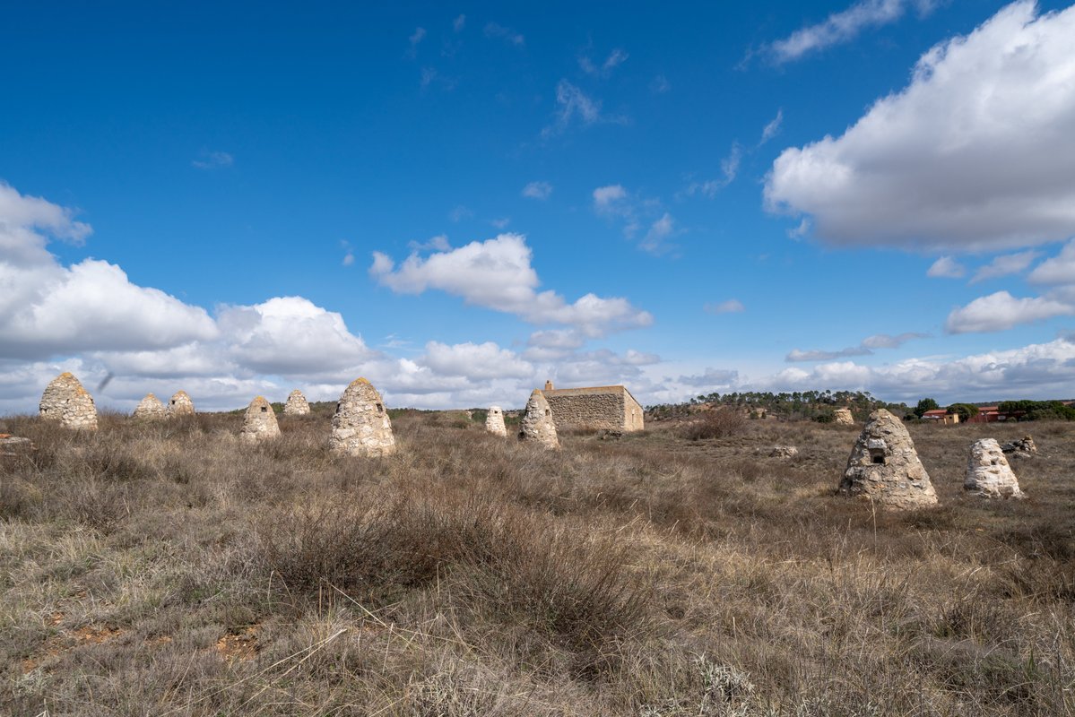 Ribera Del Duero tweet media