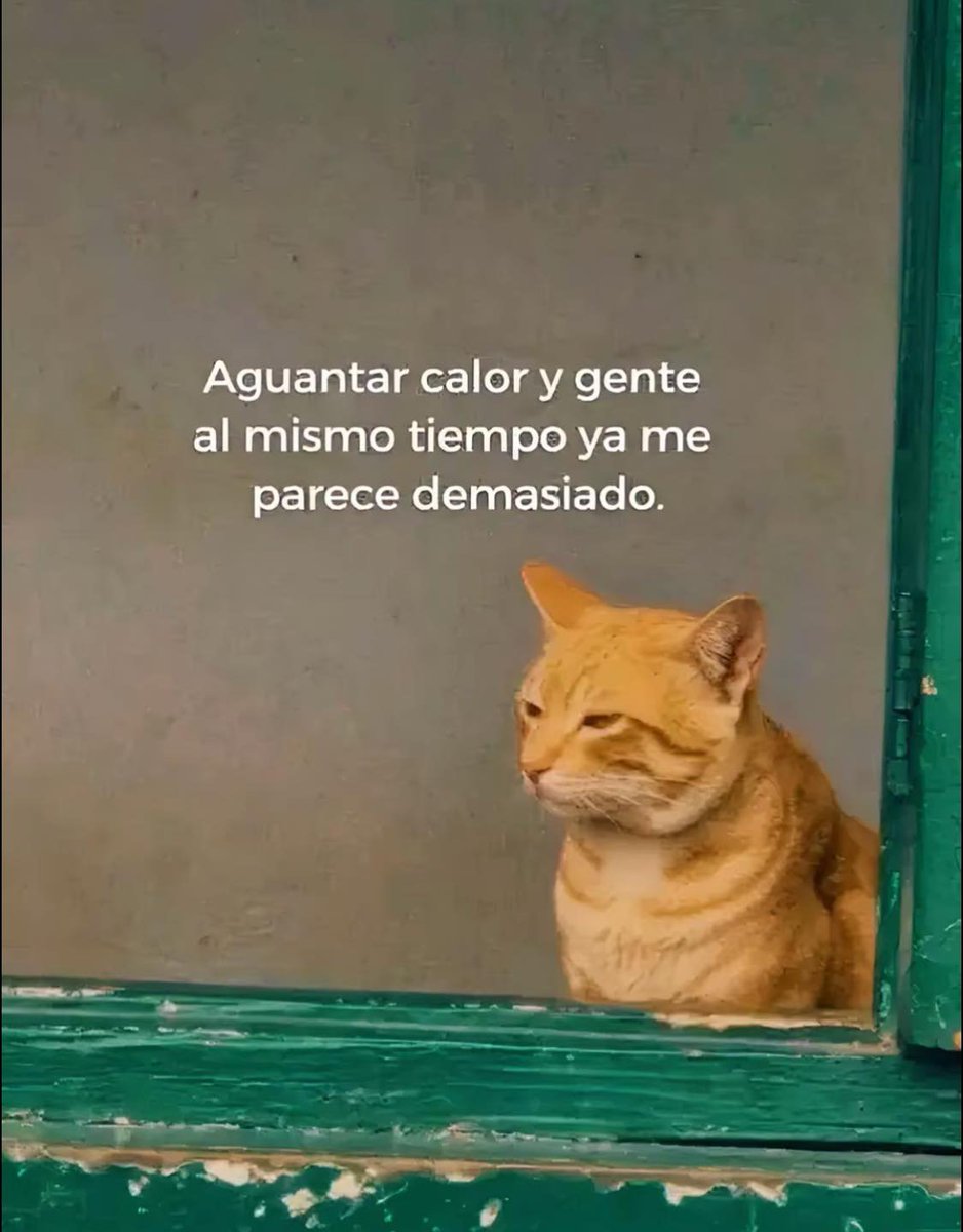 BANDIDOS (@bandidosfrasess) on Twitter photo 