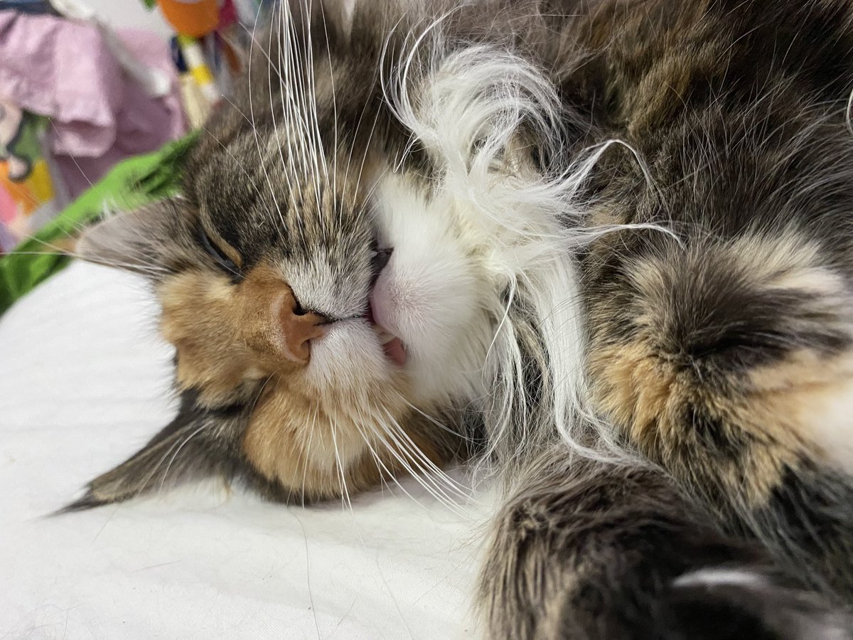 🏠 neighbor saturn 🐶 tweet media