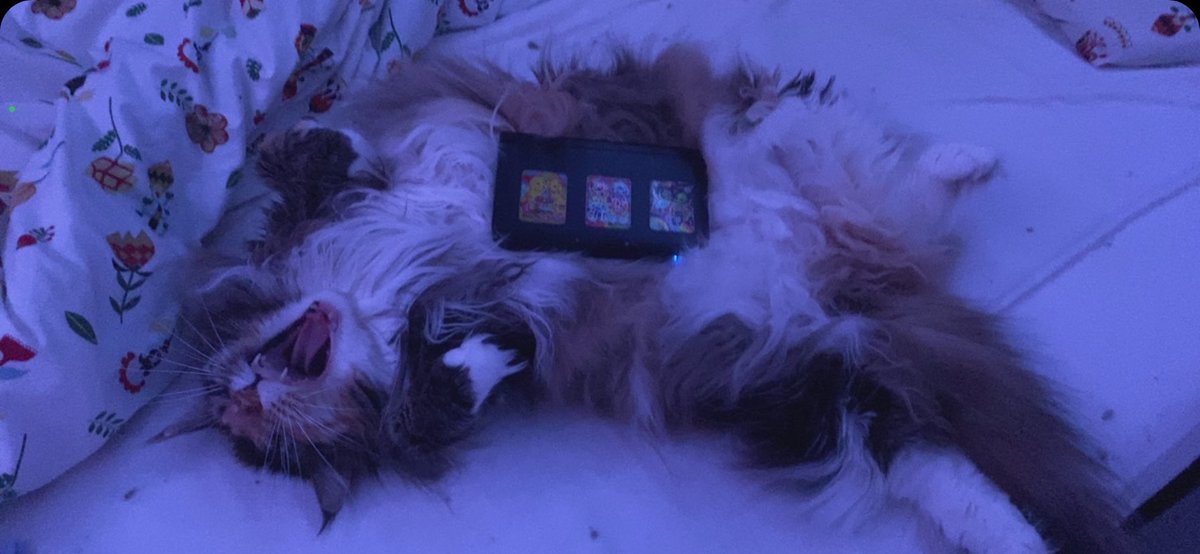 🏠 neighbor saturn 🐶 tweet media