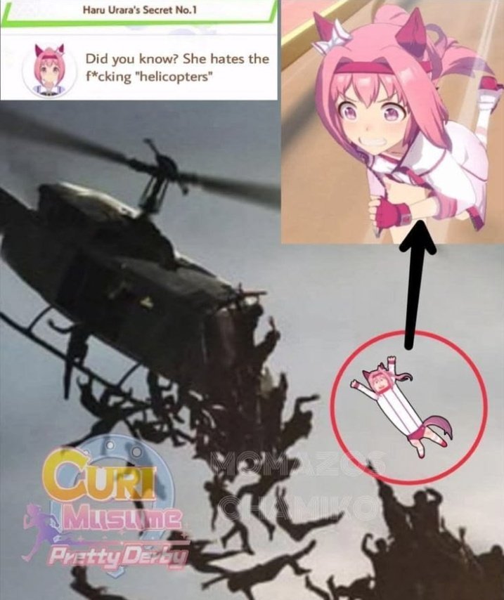 Oguro Star Blossom tweet media