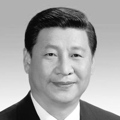 Xi Jinping (HK Parody) (DEAD) tweet media