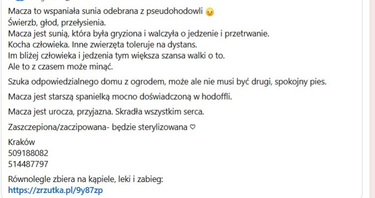 RobwalkaW's tweet photo. Macza,to ofiara pseudohodowli w poszukiwaniu domku https://t.co/e42pCfGD0g