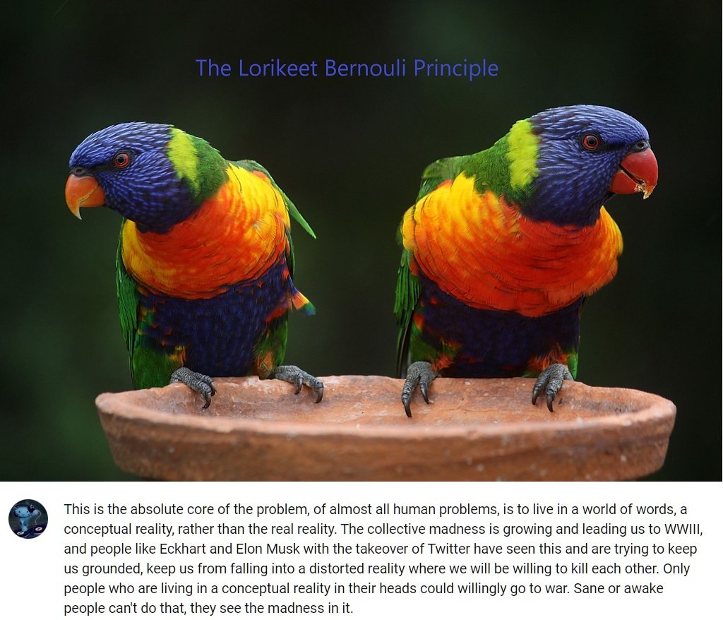 David J Ritter tweet media