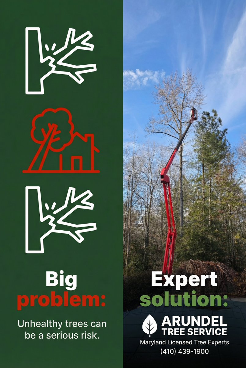 Don’t wait—winter-damaged branches can cause bigger problems if not pruned early. Our latest post covers why professional pruning after winter is vital for healthy tree growth in Maryland. wix.to/XSQ82mF #TreePruning #Arborist #Maryland #TreeCare