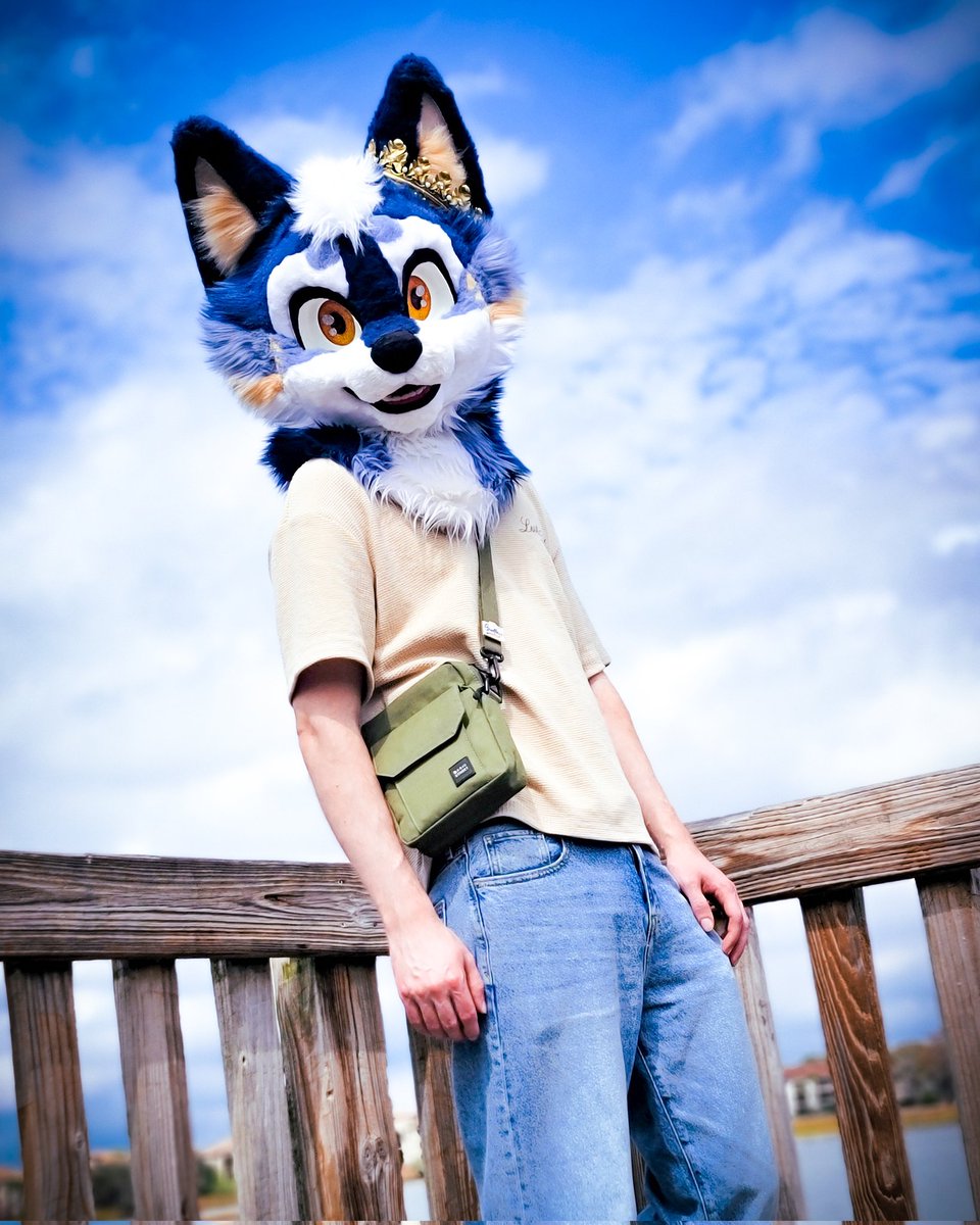 Nightzy 🌙 tweet media