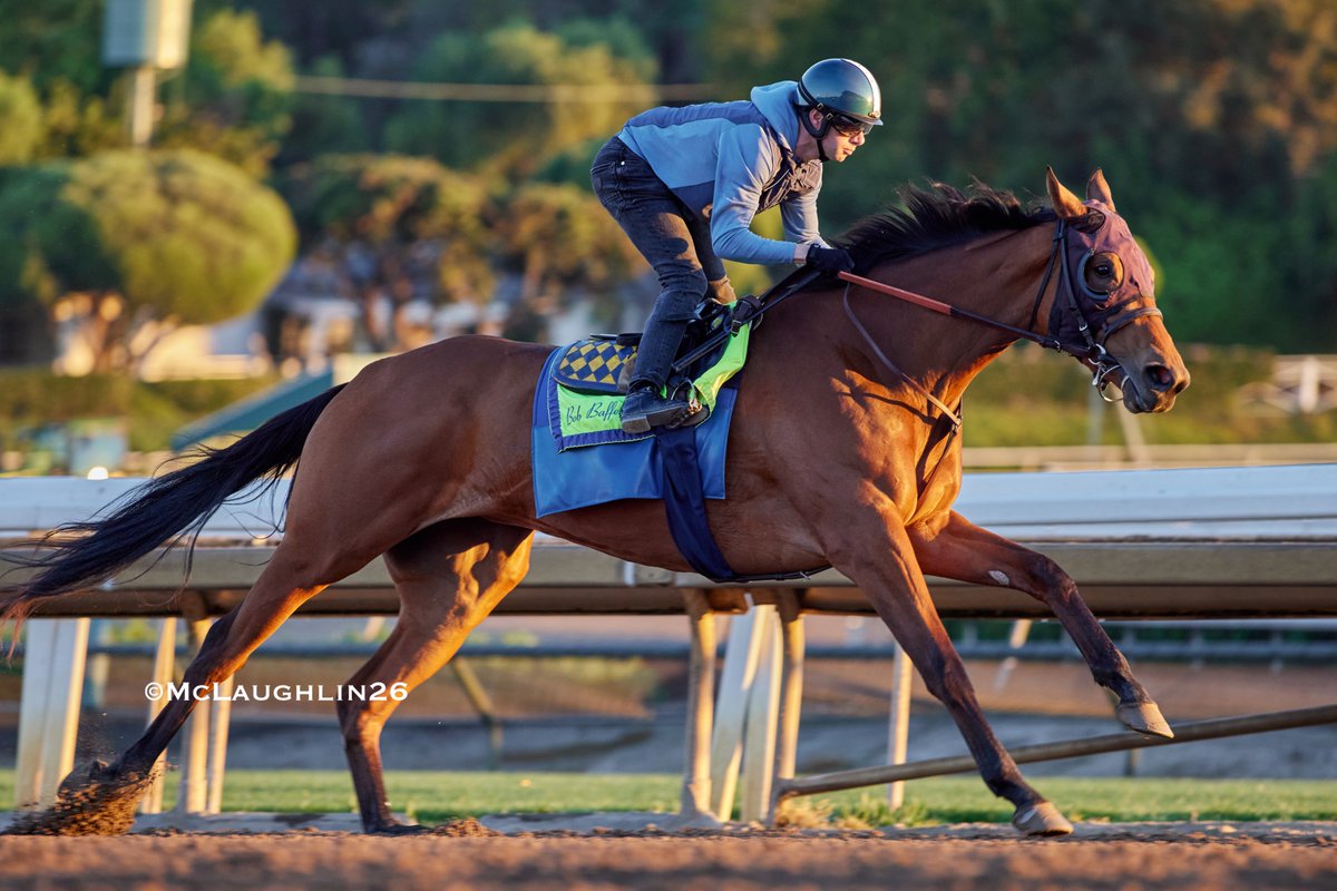 J McLaughlin Safford tweet media