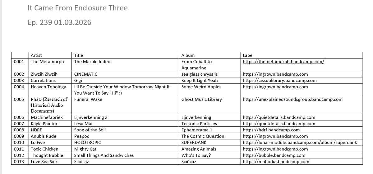 DJ SpaceTerrapin tweet media