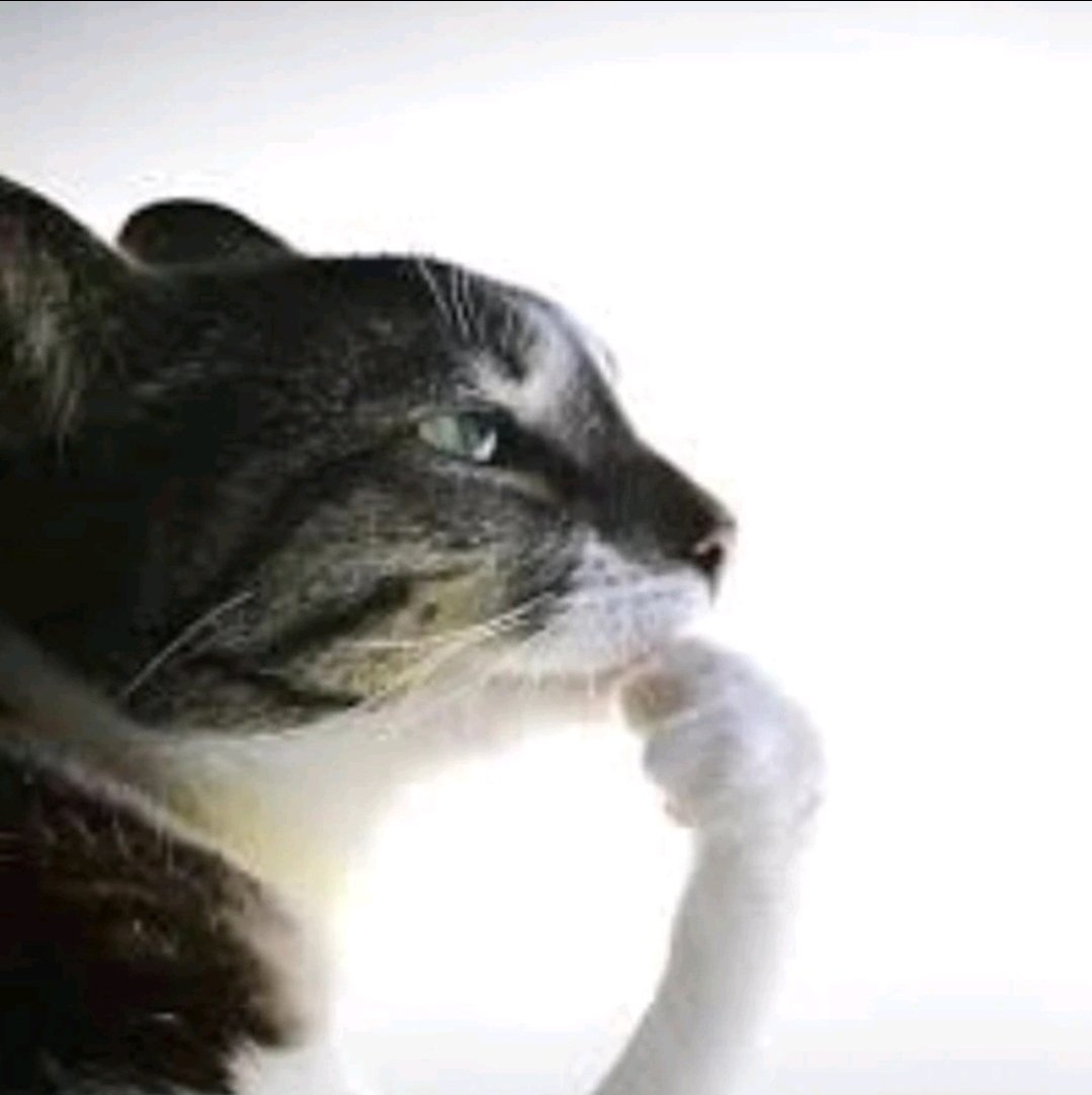 Ghost Ain tweet media