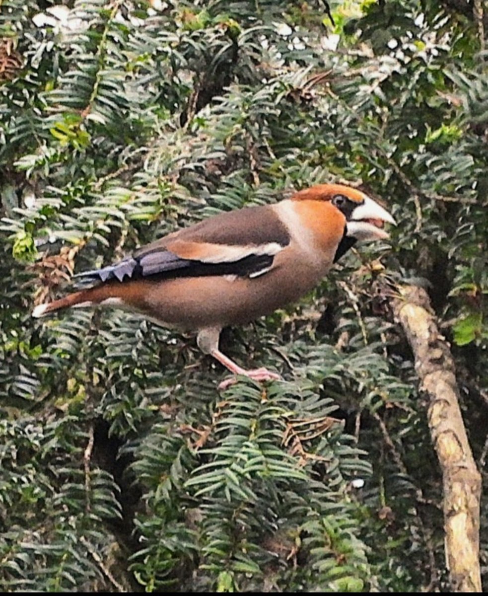 Andy Paton @andypaton.bsky.social tweet media