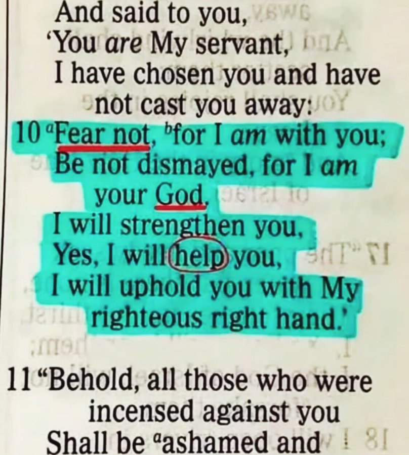 Bible 365 tweet media