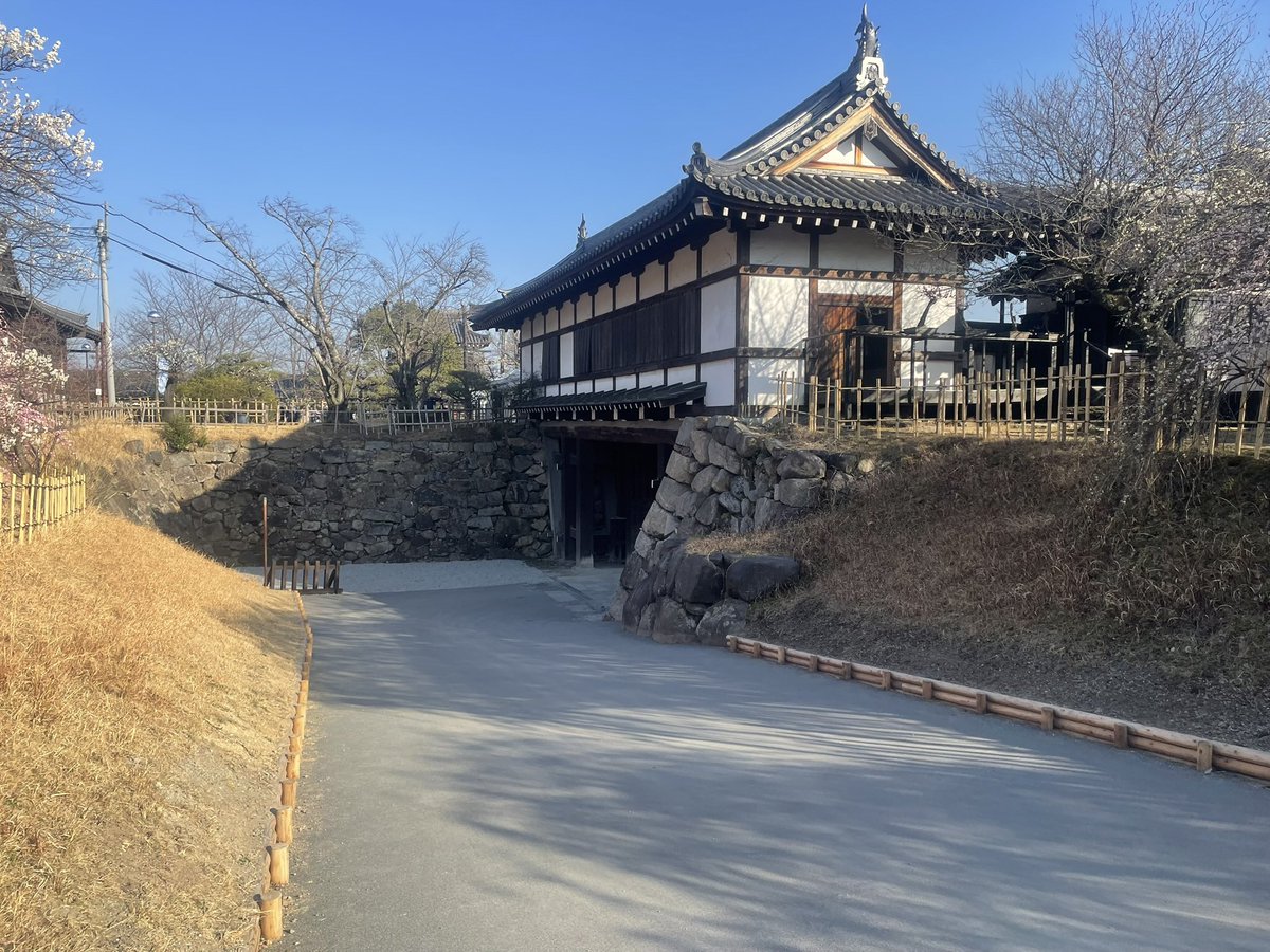 kawazo28's tweet photo. 🏯 「さかさ地蔵」に驚き！豊臣秀長が築いた大和の要、大和郡山城を訪れました
奈良県大和郡山市にある大和郡山城は、戦国時代末期、豊臣秀吉の弟である**豊臣秀長（とよとみ ひでなが）**が百万石の居城として大規模に整備したお城です。秀長は、この城を拠点に大和・和泉・紀伊を統治しました。
このお城の最大の見どころは、何といっても**「転用石（てんようせき）」！
築城の際、石材が不足したため、近隣の寺院から運ばれた墓石や地蔵、さらには平城京の羅城門の礎石までが石垣として使われました。特に有名なのが「さかさ地蔵」**。石垣の中に逆さまに組み込まれたお地蔵様を今も見ることができ、当時の突貫工事の凄まじさと、秀長の権力の大きさを物語っています。
江戸時代には、徳川幕府の重臣・柳沢氏が城主となり、金魚の養殖を奨励したことで、今も「金魚の町」として親しまれています。
現在は、復元された追手門や極楽橋が美しい姿を見せており、春には「日本さくら名所100選」にも選ばれるほどの絶景が広がります。石垣に秘められた歴史の荒々しさと、城下の穏やかな空気のギャップがたまらない、深みのある名城でした！
#大和郡山城 #豊臣秀長 #さかさ地蔵 #歴史 #奈良観光 #お城巡り #日本100名城