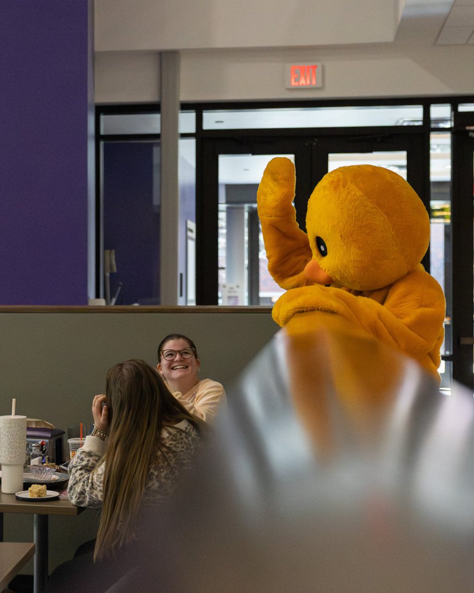 Tarleton Students tweet media