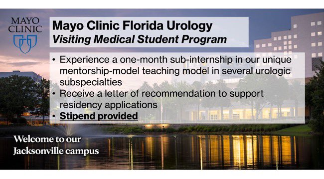 MayoFL_UrolRes's tweet image. Calling urology applicants for #Match2027! 📣  
Join us @MayoUrology in Jacksonville for a 4-week Visiting Medical Student sub-internship.   

⭐️ Apply through #VSLO 
⭐️ More info here: bit.ly/4h0L8Mk 
⭐️ Stipend provided!