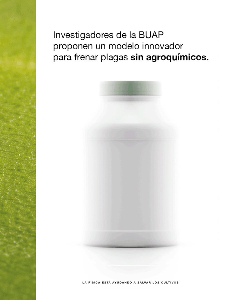 Proponen en la BUAP utilizar la Física para proteger cultivos prioritarios 🪴 

Un equipo multidisciplinario demostró que las leyes de la #Física son también clave para una #agricultura sostenible y sin químicos.

🔗  boletin.buap.mx/node/4312
