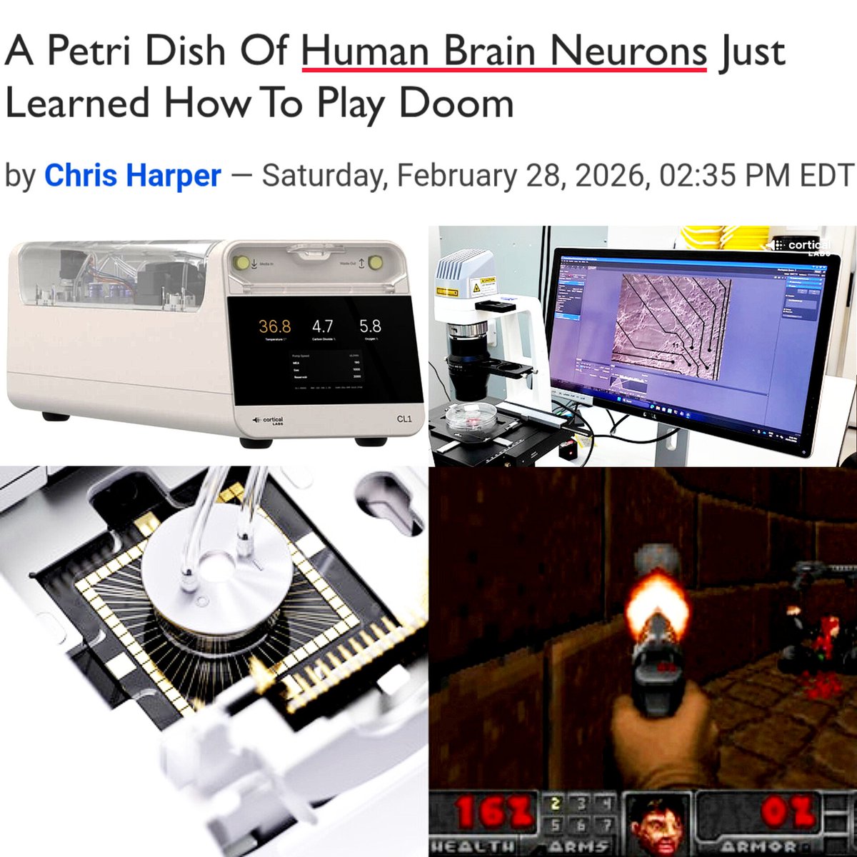 Your consciousness is ripped from the void and put into flesh. Your soul is trapped on a petri dish. No senses. No emotions. Your purpose is to play DOOM. You learn to play because you get zapped when you die. Eventually, you beat the game. The literal peak of your existence. You