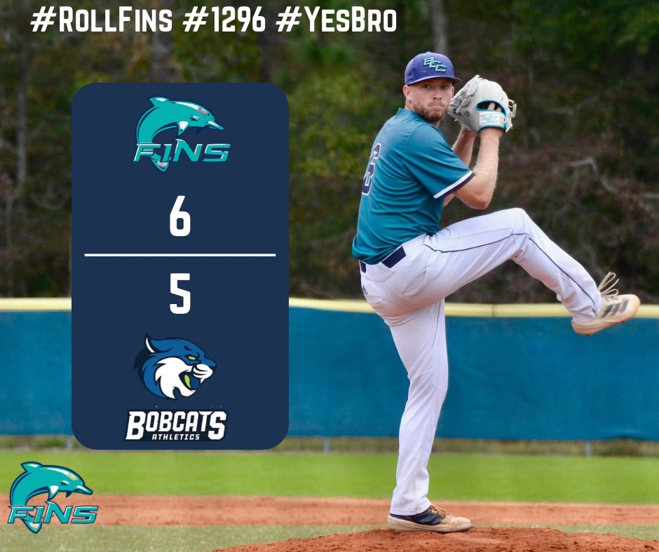 BCC Dolphins tweet media