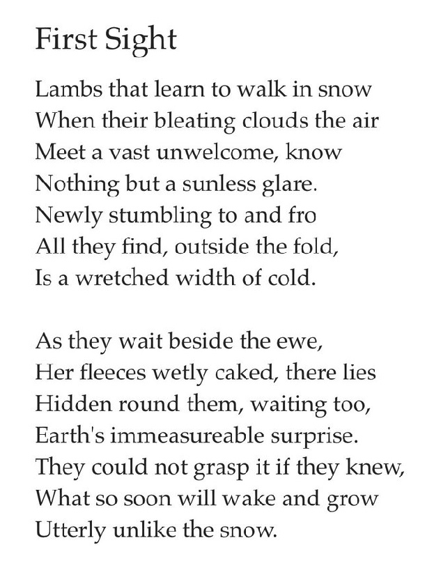 Marie-Luise tweet media