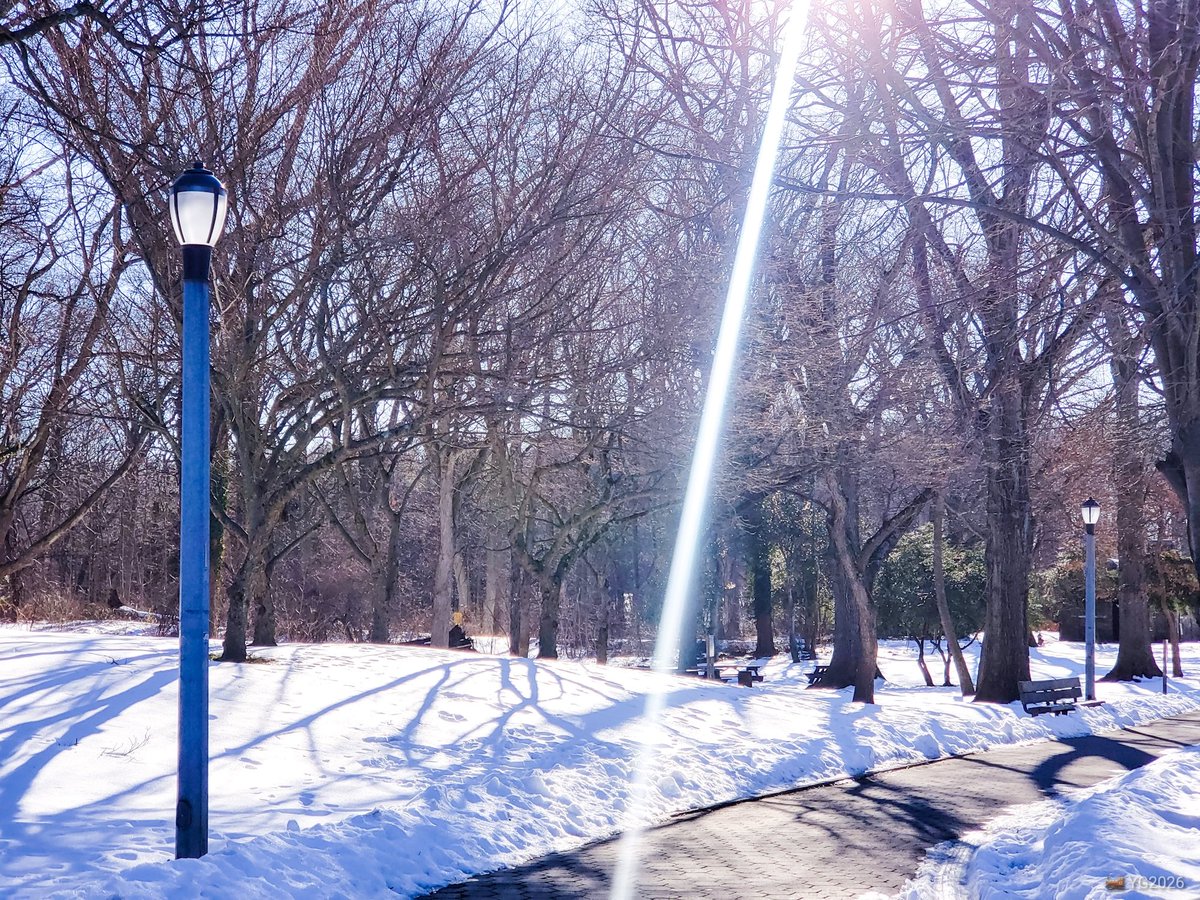 yserbius Gandalf tweet media