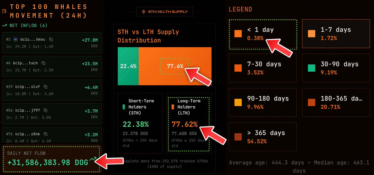In the past 24 hours, $DOG (Bitcoin) UTXO data reveals:

1⃣ Top 100 wallets: +31M $DOG accumulated
2⃣ LTH supply: 77.55% ➝ 77.62% (rising)
3⃣ Only 0.38% of total supply traded

WHALES &amp; RETAIL IS BUYING $DOG ‼️

Source: <a href="/dogdatabtc/">DogData</a>