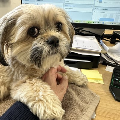flashbangflash's tweet photo. #NewProfilePic https://t.co/oybMXrBFCP