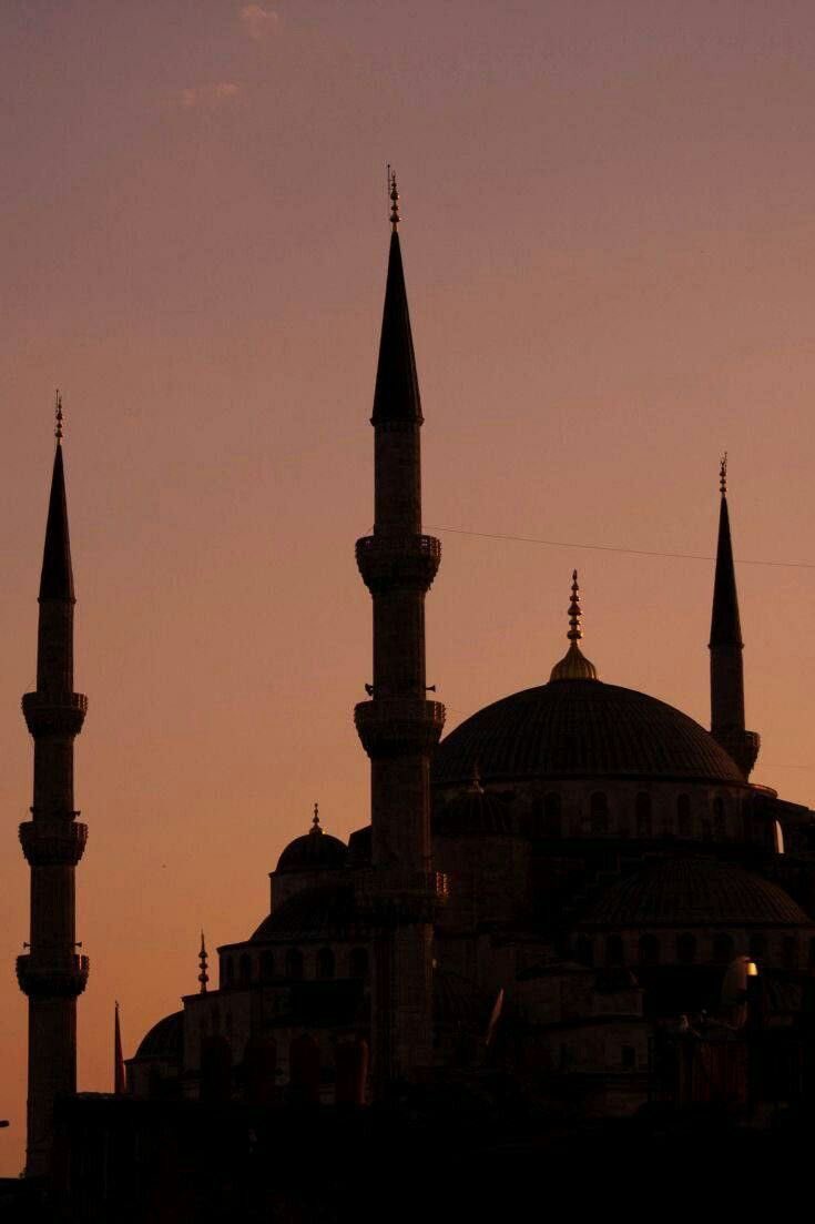 Le Niz (@nizar_tf) on Twitter photo 