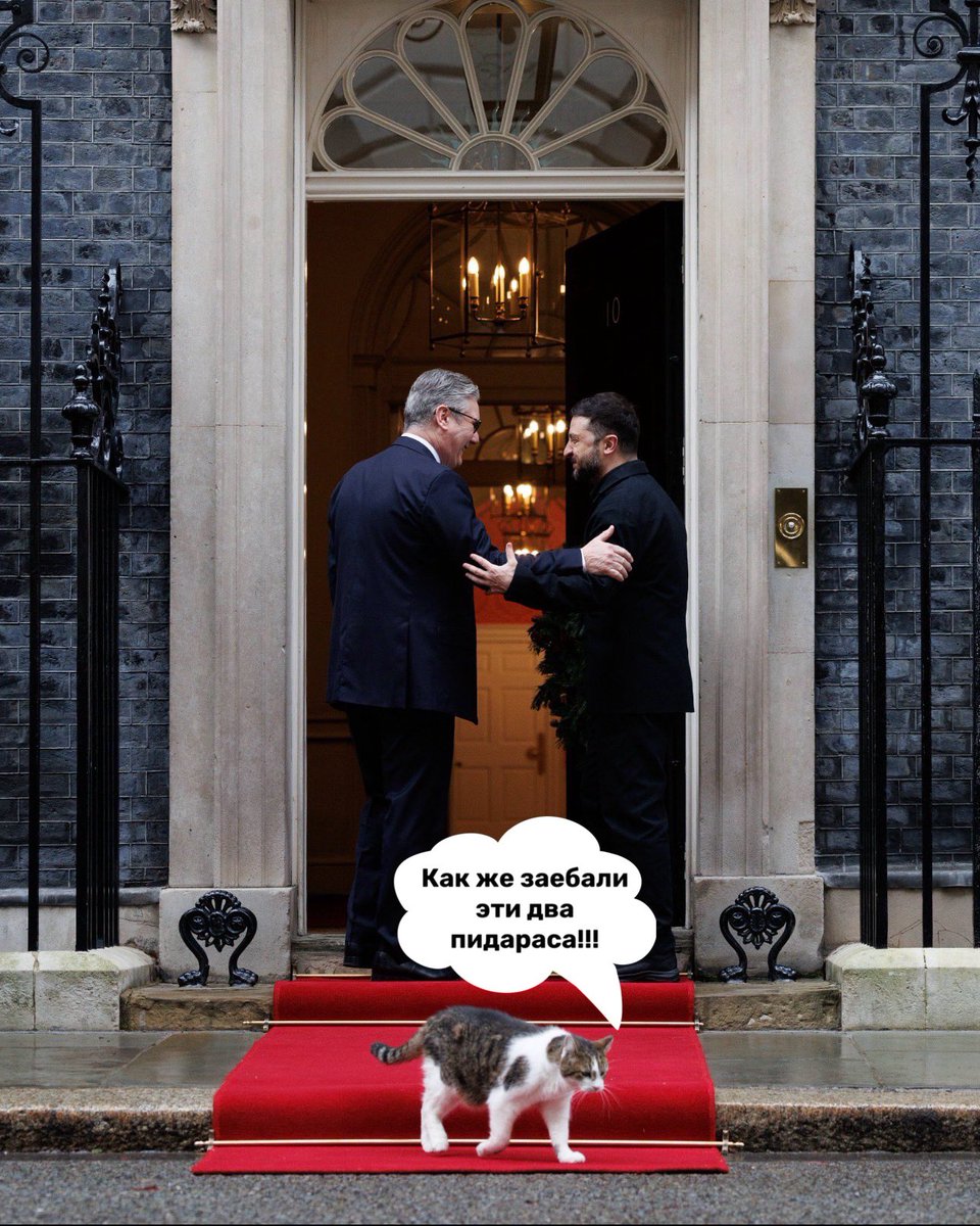 sindbad_69 tweet media