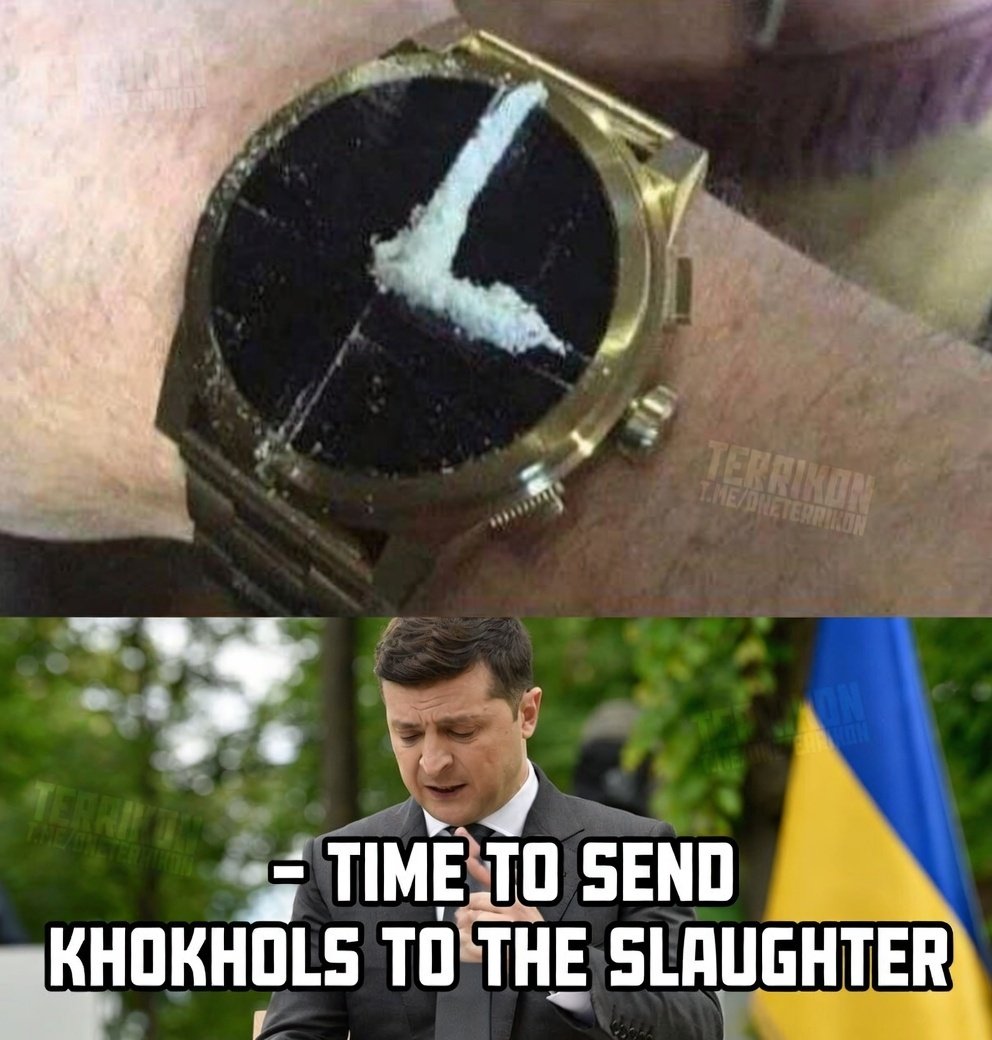 sindbad_69 tweet media