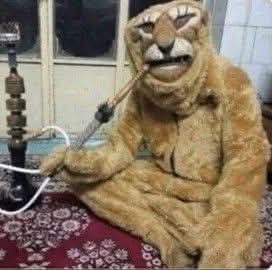 الكل منتظر رد شيعة العراق على اغتيال خامنئي..!! 

شيعة العراق امام التلفاز: