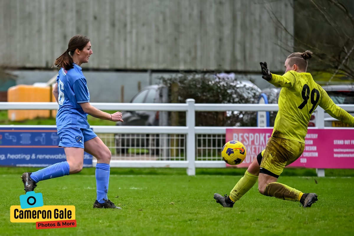 Behind The Fence Photography tweet media