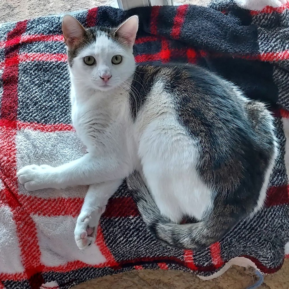 Diane Herridge 💜 tweet media