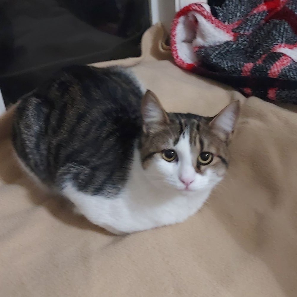 Diane Herridge 💜 tweet media