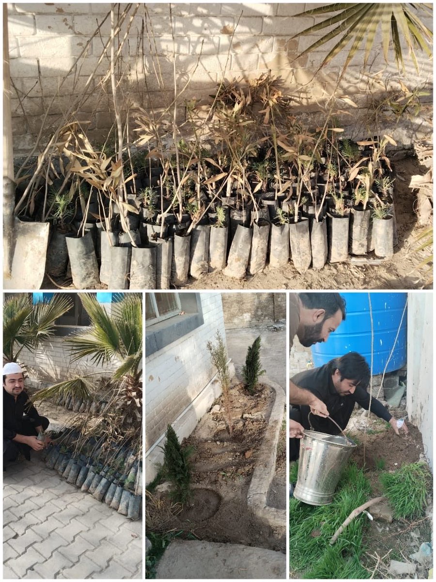 Medical Emergency Response Centers Balochistan tweet media