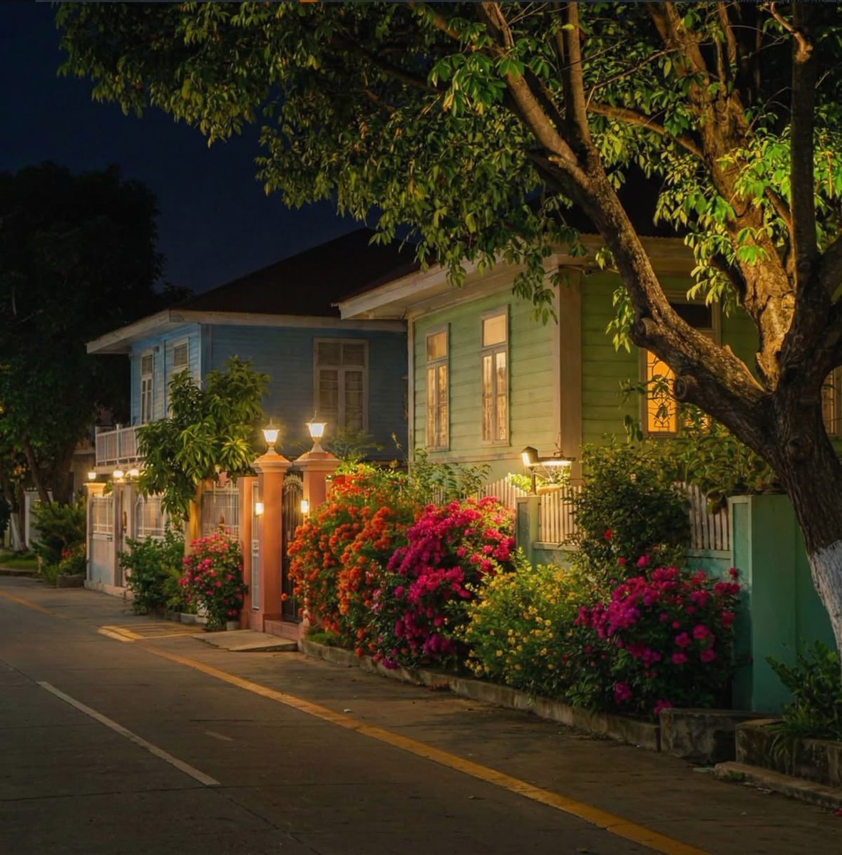 Need a midnight walk here