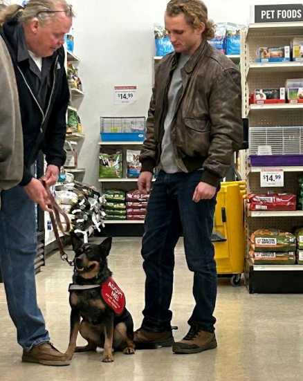 WorkingDogsForVets tweet media