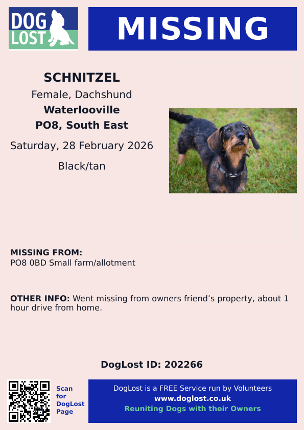 MissingPetsGB's tweet photo. 🐕 Please share to help find  SCHNITZEL, #missing from owners friend’s property, about 1 hour drive from home.
#Waterlooville East Hampshire #PO8 area, last seen 28 February 2026
Please don't chase if seen. Please just call asap. #stolendoghour https://t.co/bDPbfqsnh7