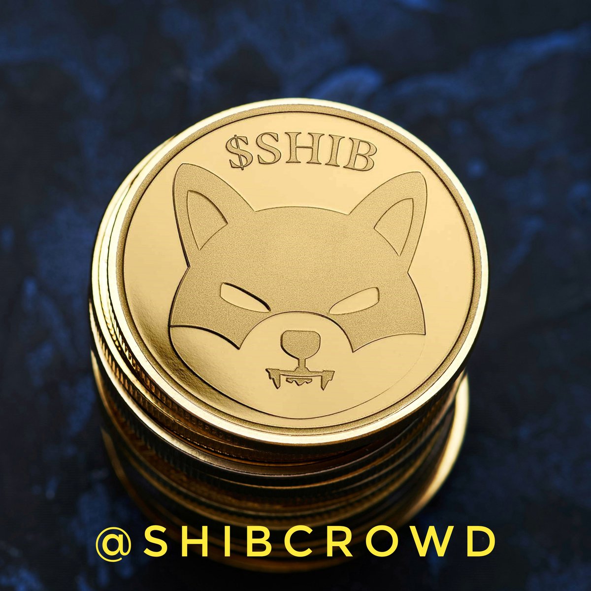 My favorite Cryptocurrency........... 

$SHIB 💎🚀 You.........?👇