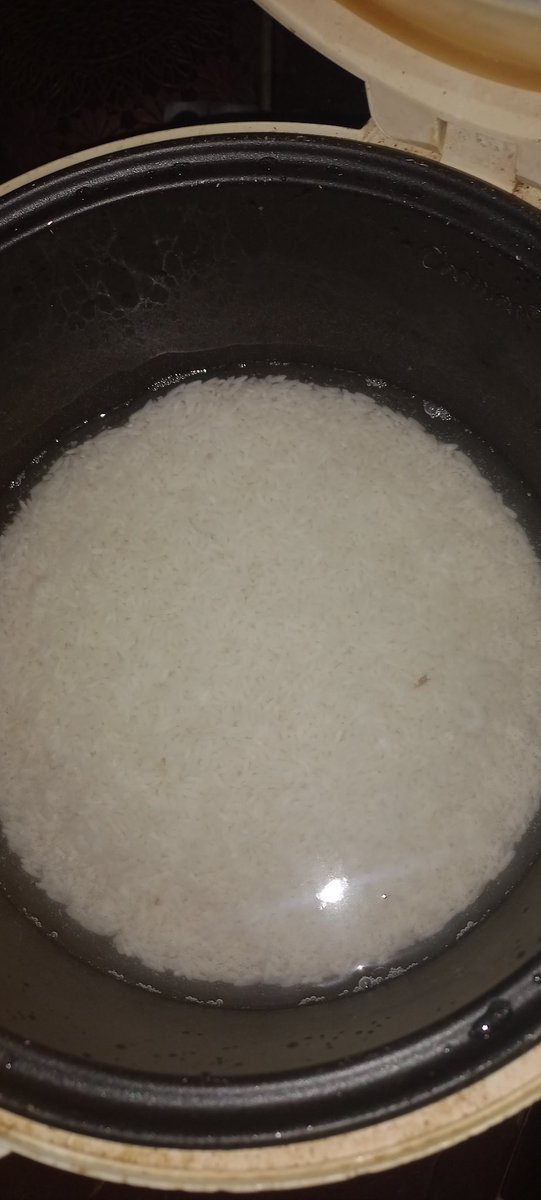 Bodohh bangett al masakk nasi udh di cetrekin, eh kaga dicolokk 😭